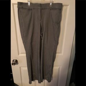 Lane Bryant Ally Pants